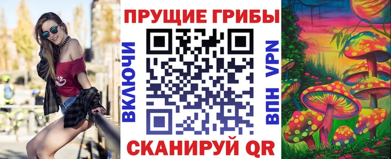 Галлюциногенные грибы Psilocybe наркота Курчалой